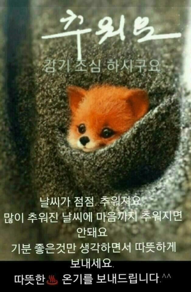 익*이* 이미지