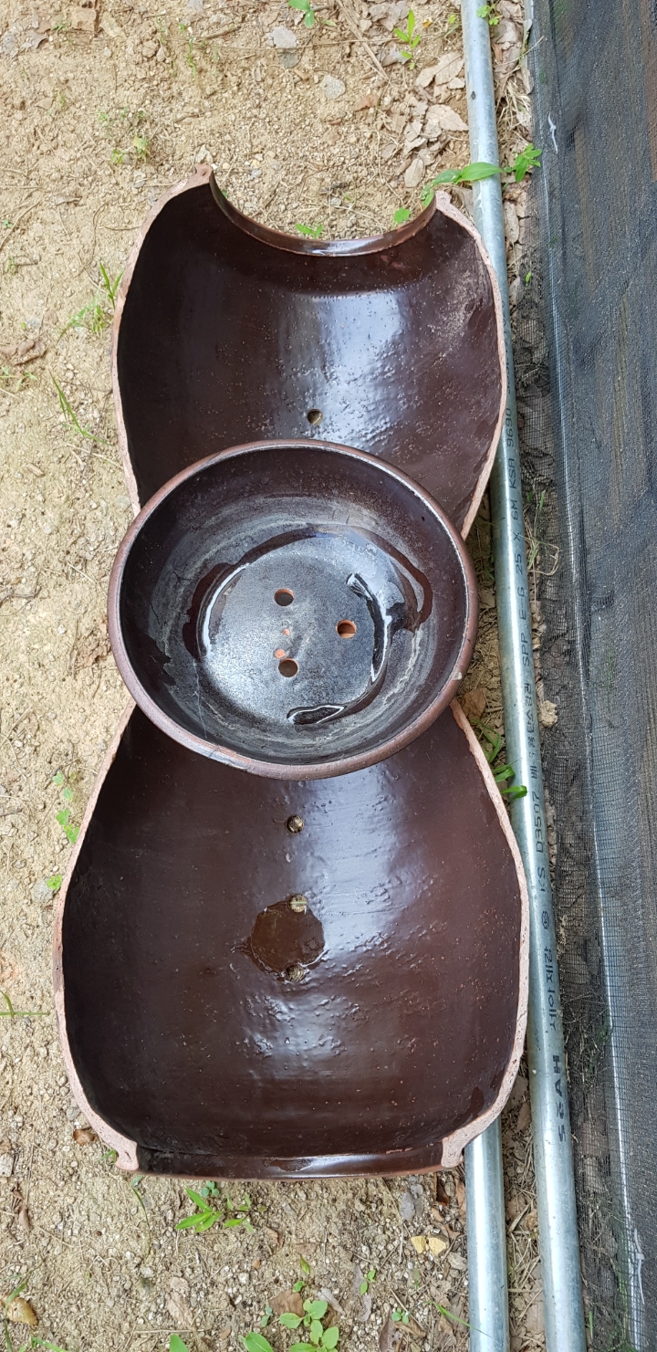 항아리와바위솔 이미지