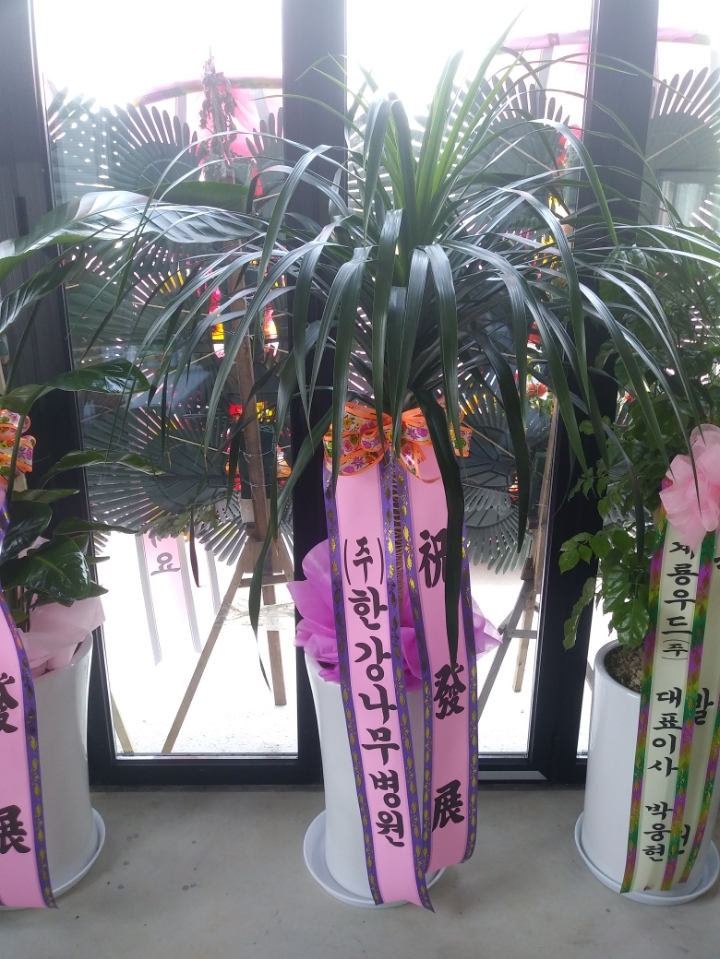금광개발(주) 이미지