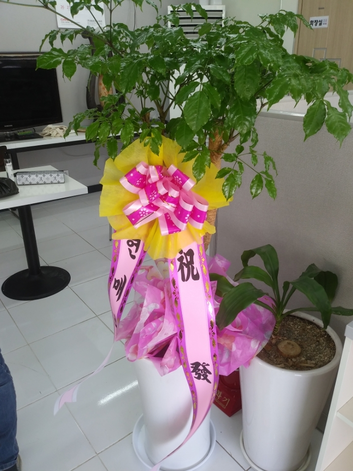 금광개발(주) 이미지