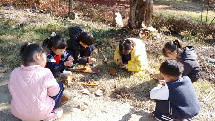 미래숲어린이집 이미지