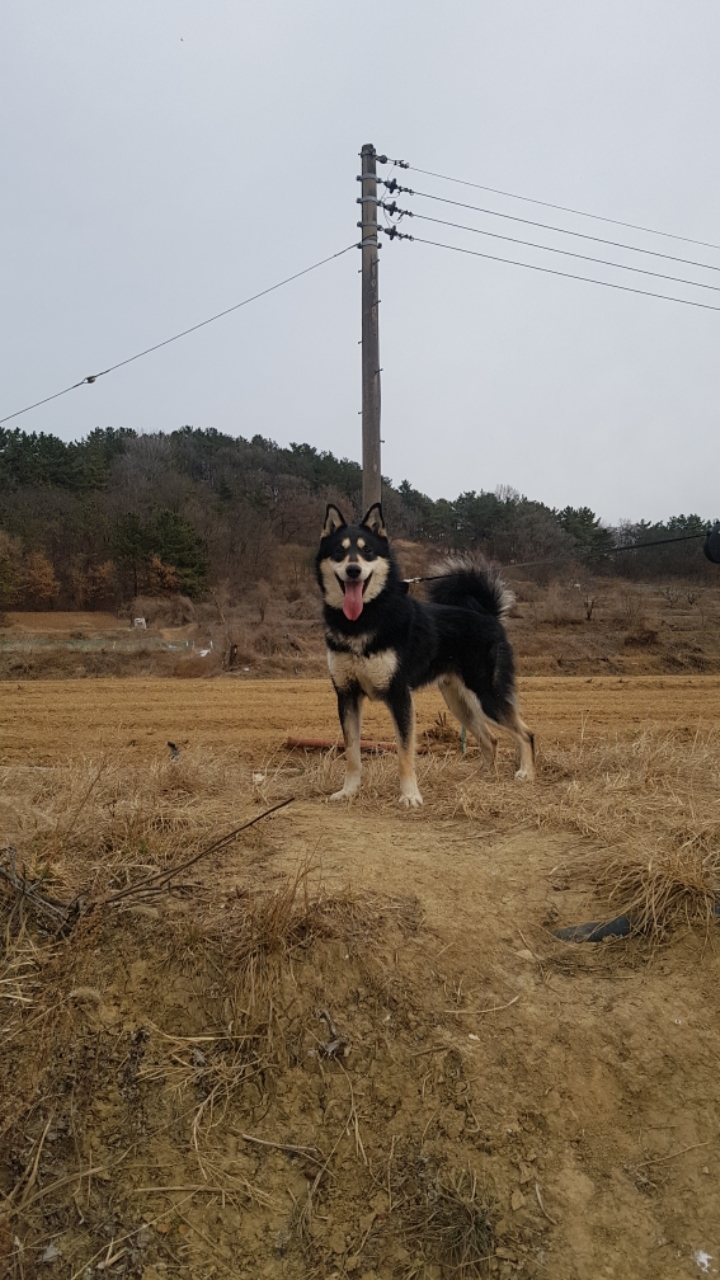 구르 이미지