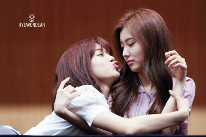 다봄 이미지