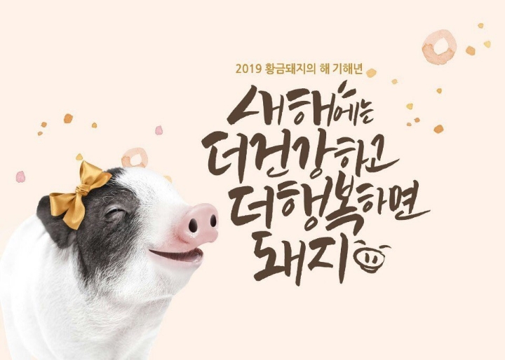 마니마니 이미지