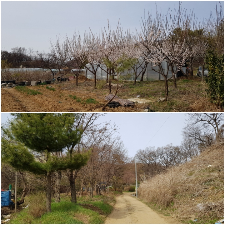 카페누비 이미지