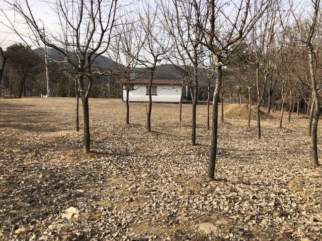 득카페 이미지