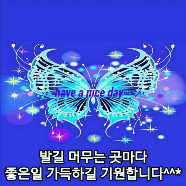 대보름김치찌게 이미지
