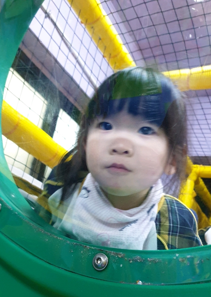 와와랜드 이미지