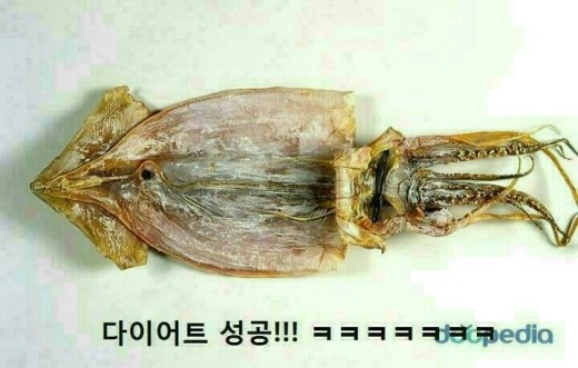 두레박 이미지