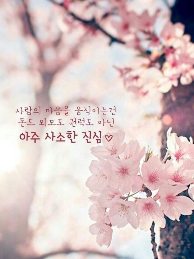 진심 이미지