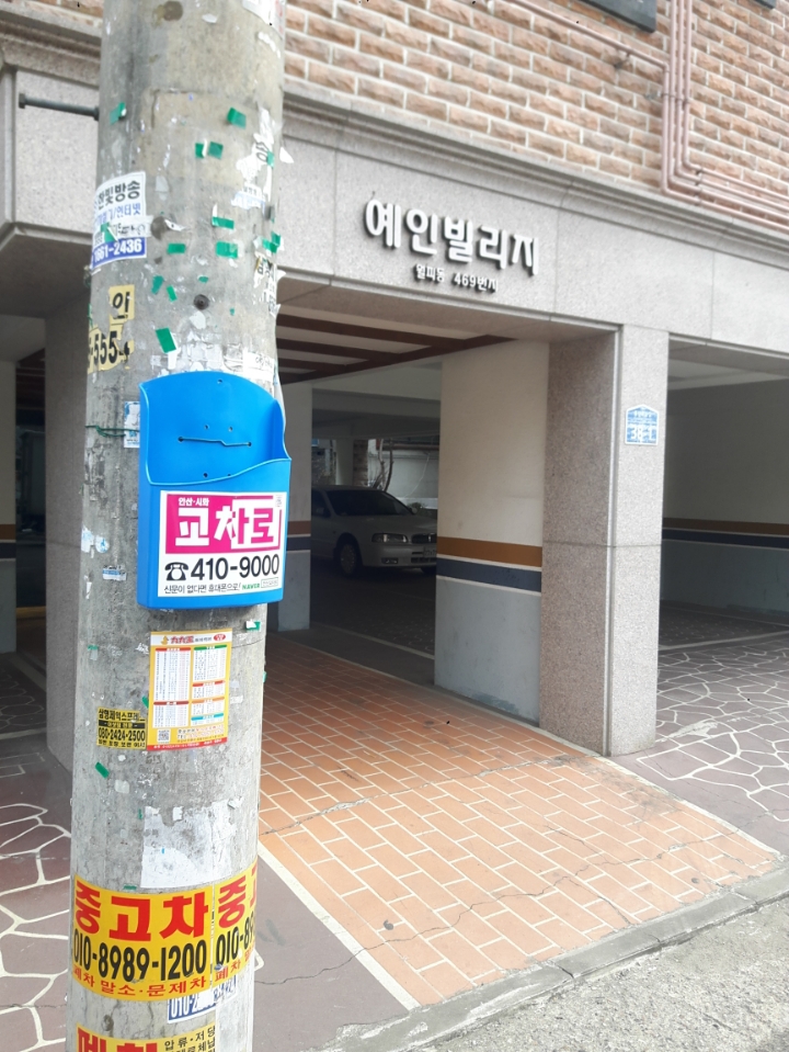 구구왕 이미지