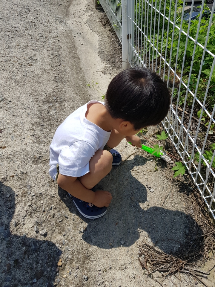우리동네청소대장 이미지