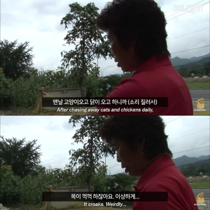 [TV동물농장] 목이 굽어버린 동생을 지키는 거위 | 인스티즈