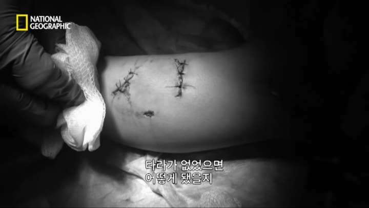 몸을 날려 아이를 구한 고양이 | 인스티즈