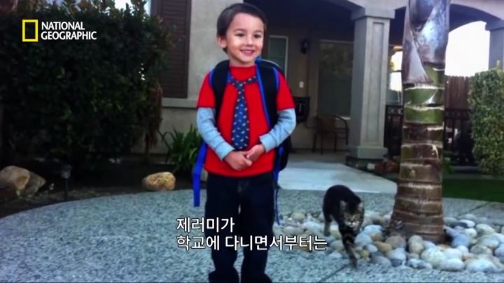 몸을 날려 아이를 구한 고양이 | 인스티즈