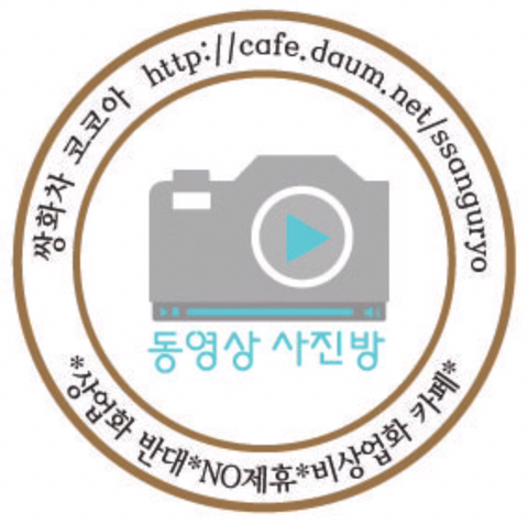 구조되어 페럿을 키우는 집으로 입양된 고양이 | 인스티즈