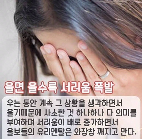 잘 우는 사람들 특징 | 인스티즈