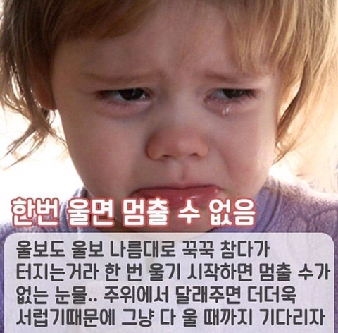 잘 우는 사람들 특징 | 인스티즈