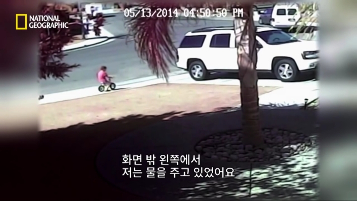 몸을 날려 아이를 구한 고양이 | 인스티즈