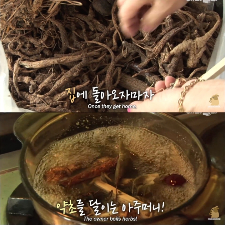 [TV동물농장] 목이 굽어버린 동생을 지키는 거위 | 인스티즈