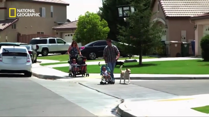 몸을 날려 아이를 구한 고양이 | 인스티즈