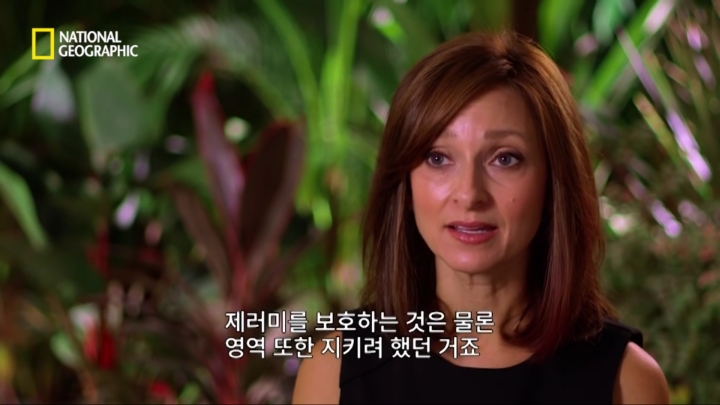 몸을 날려 아이를 구한 고양이 | 인스티즈