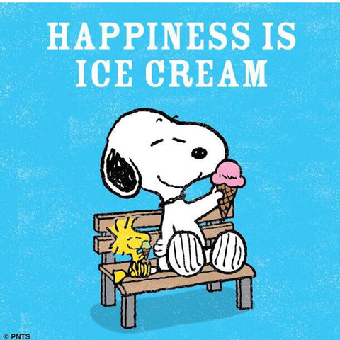 푸들이 소파 올라가는 방법 | 인스티즈