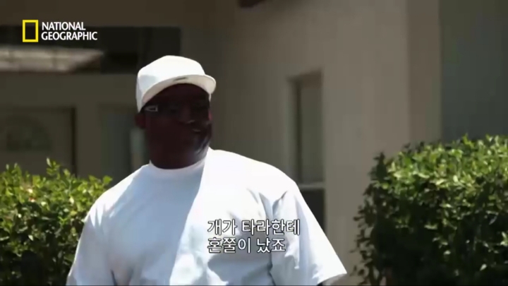 몸을 날려 아이를 구한 고양이 | 인스티즈