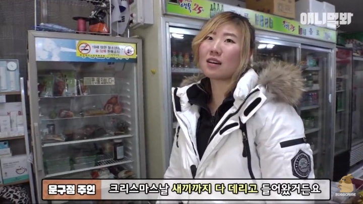 매일 회 받아가서 자식들 먹이는 엄마 고양이 | 인스티즈