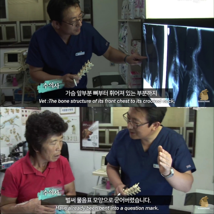 [TV동물농장] 목이 굽어버린 동생을 지키는 거위 | 인스티즈