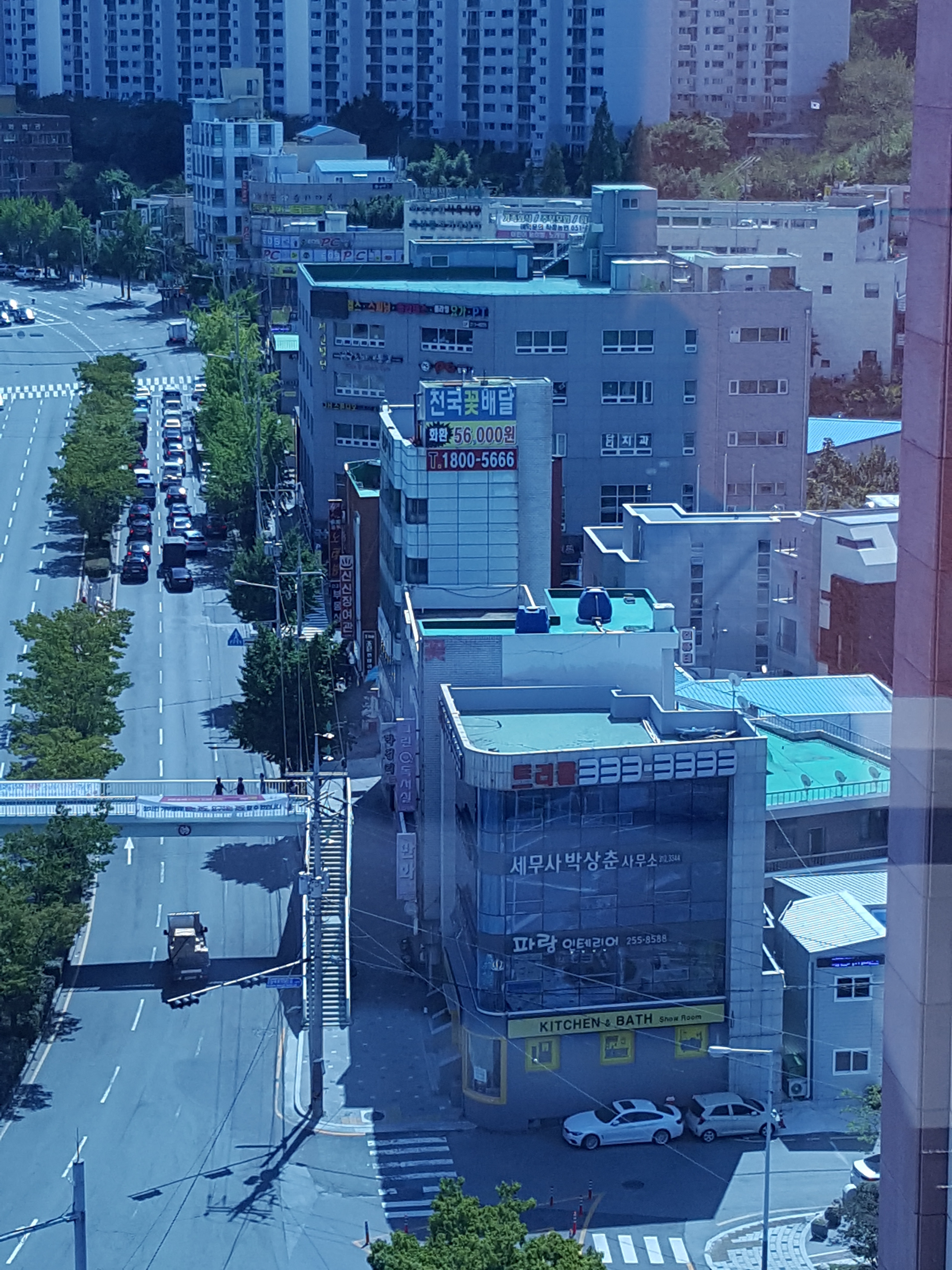 큰솔2병원 이미지
