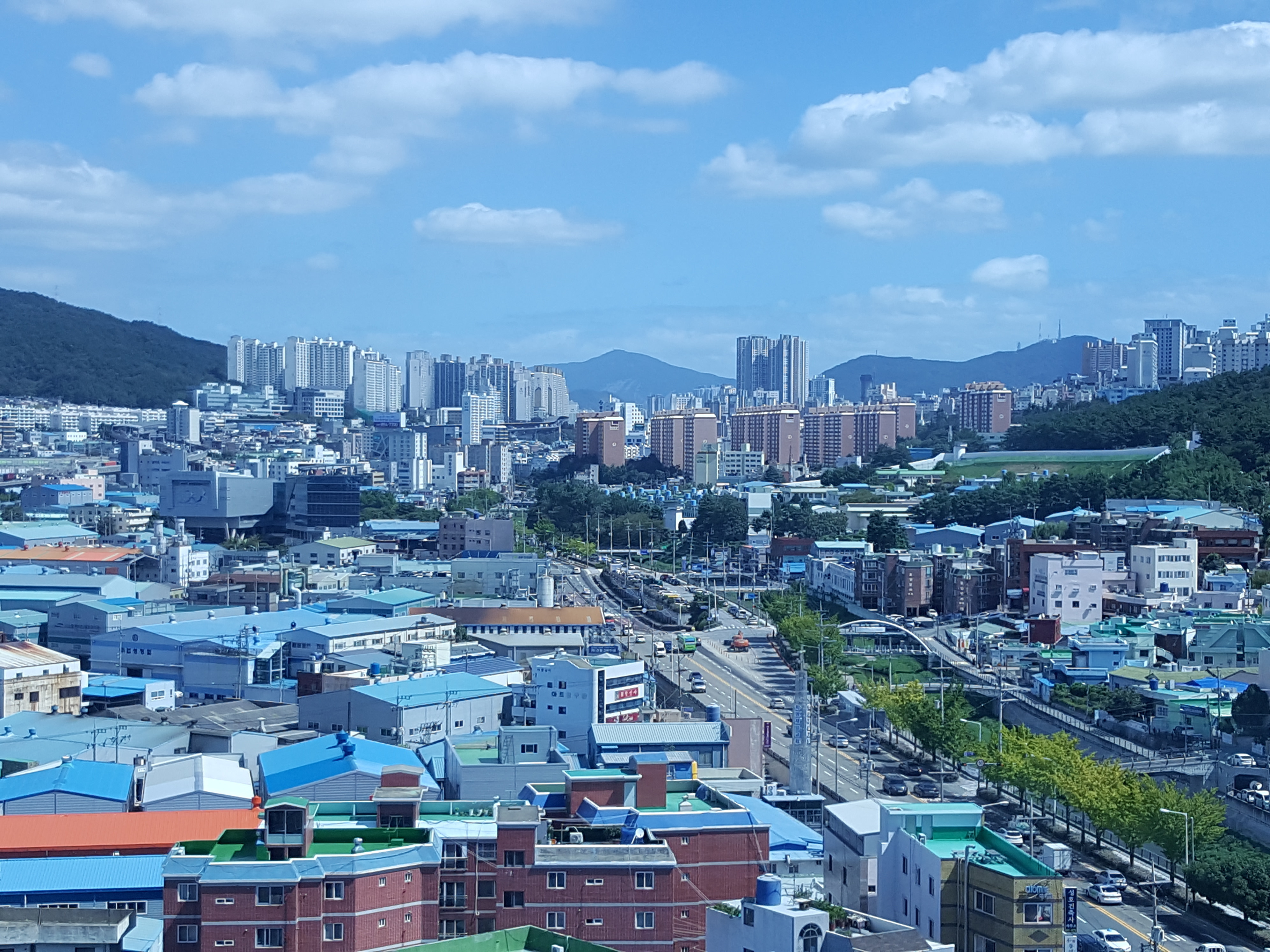 큰솔2병원 이미지