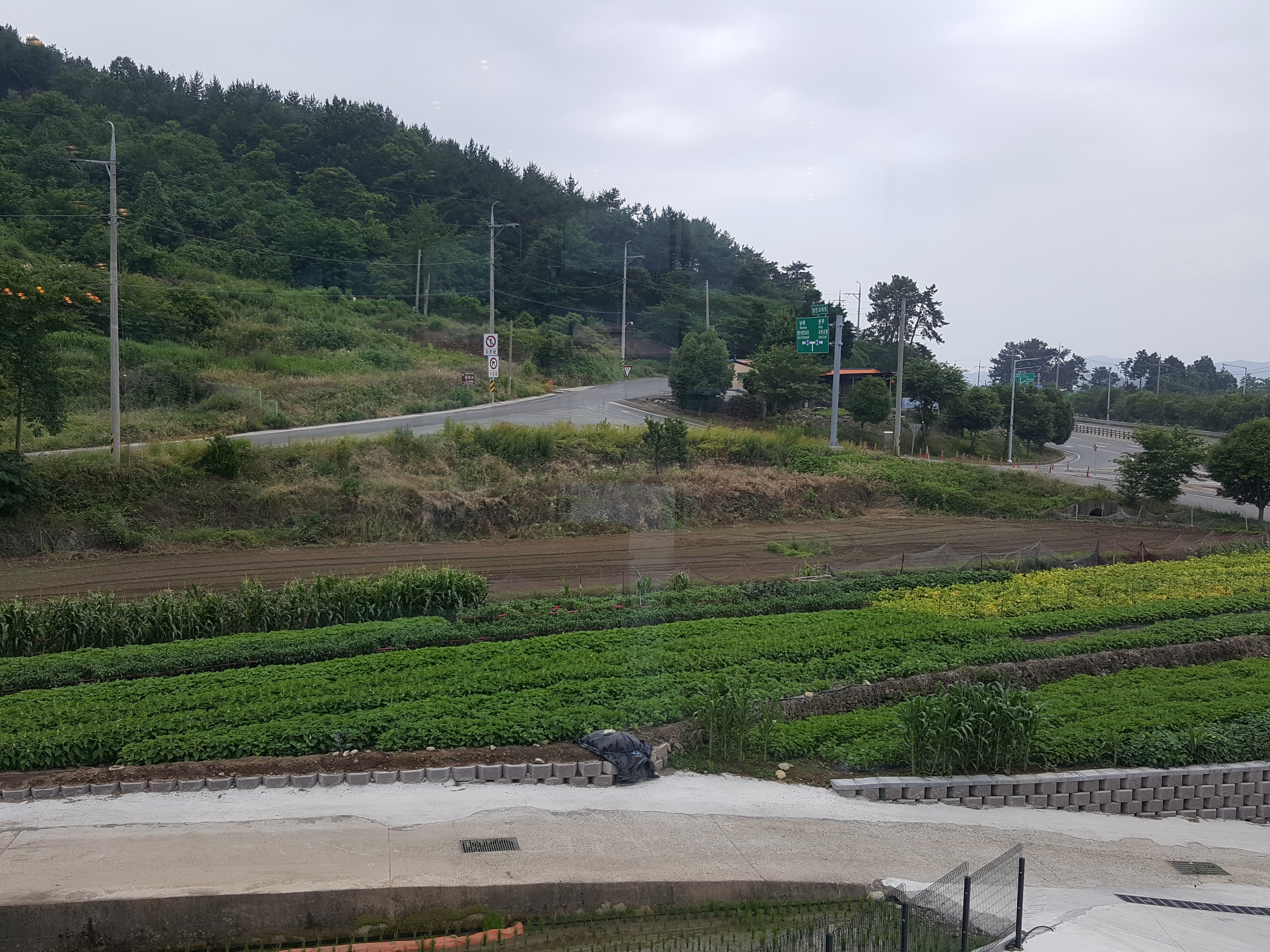 이디야커피사천 이미지