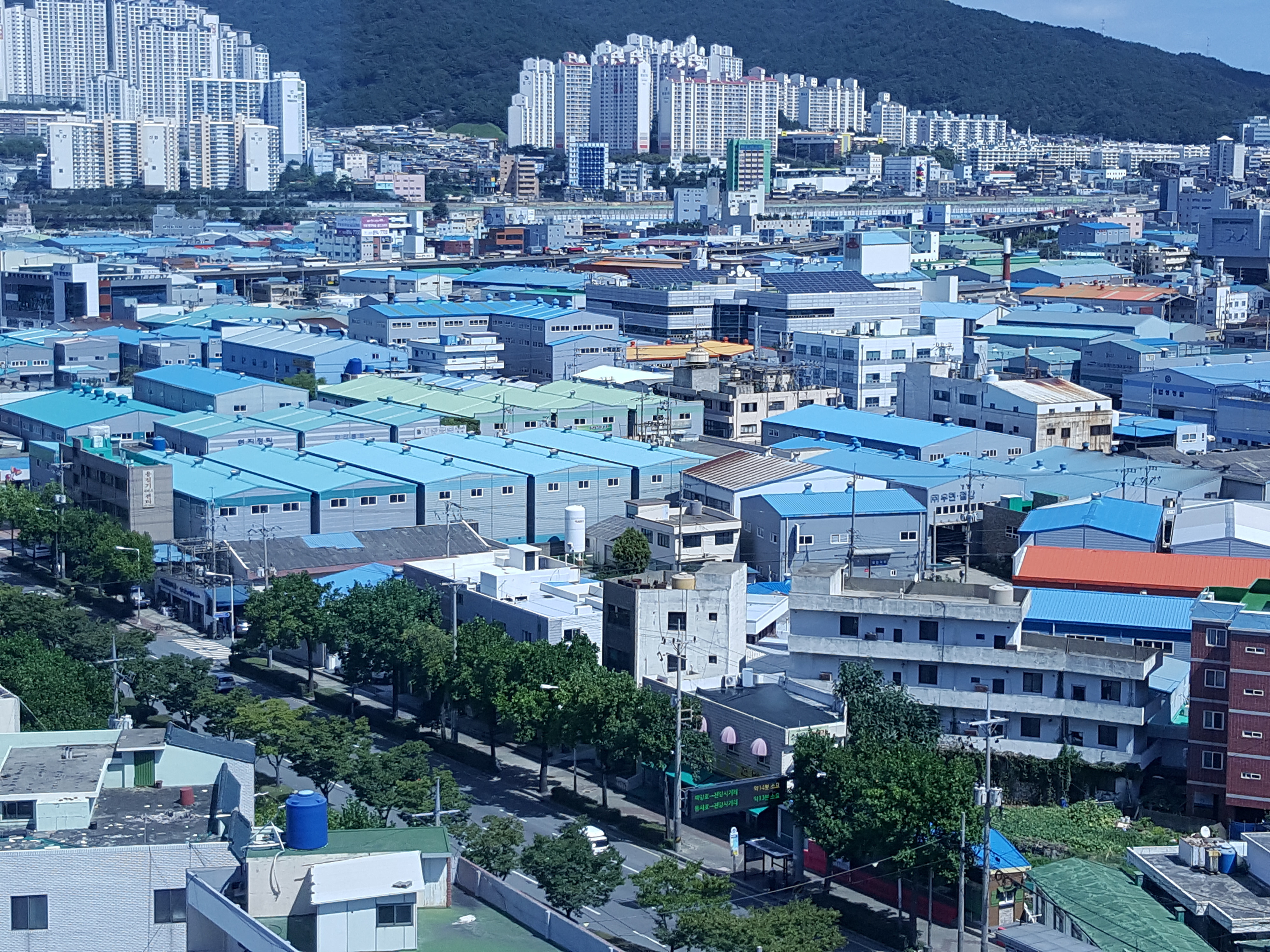큰솔2병원 이미지