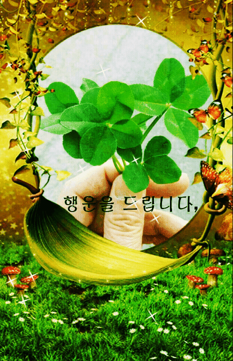 우리가 걷는 길 - ‥‥인기 ♡ 동영상 - 향기있는 좋은글 우리가 걷는 길