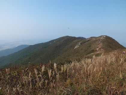 오서산 이미지