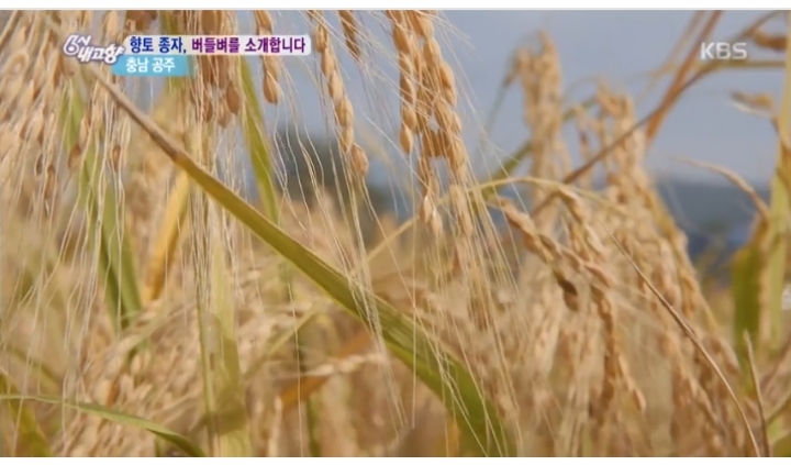 버들푸드 이미지
