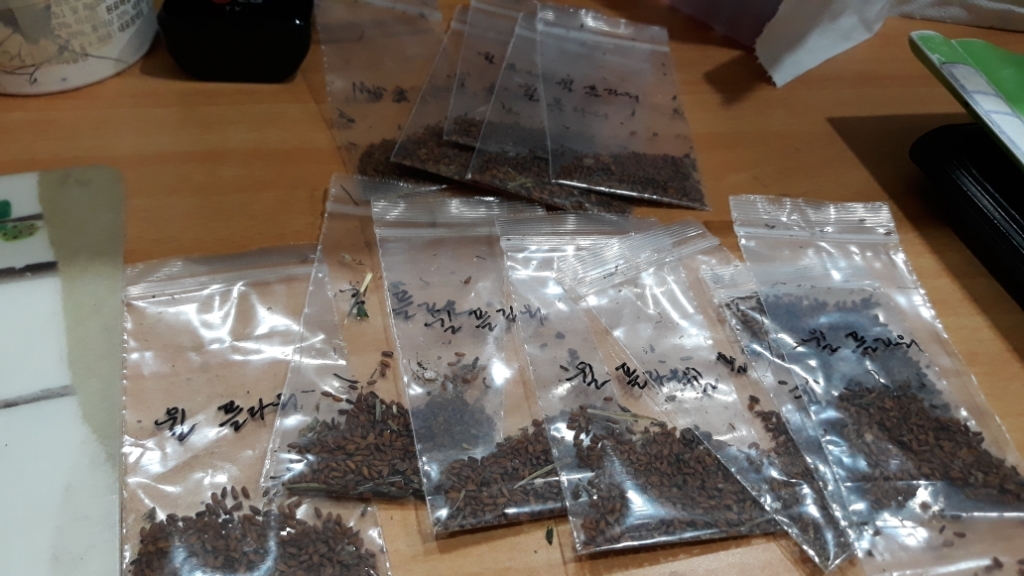 윌플라워 이미지