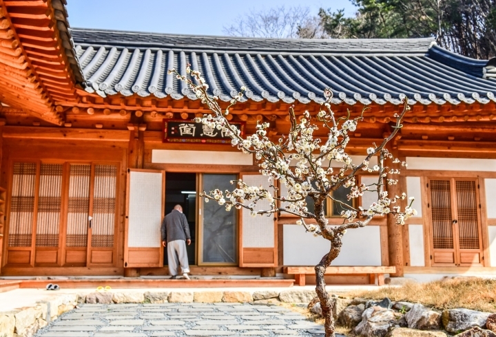 선광사 이미지