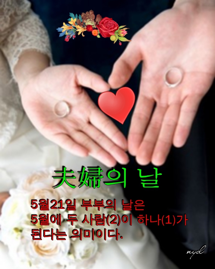 서제 이미지
