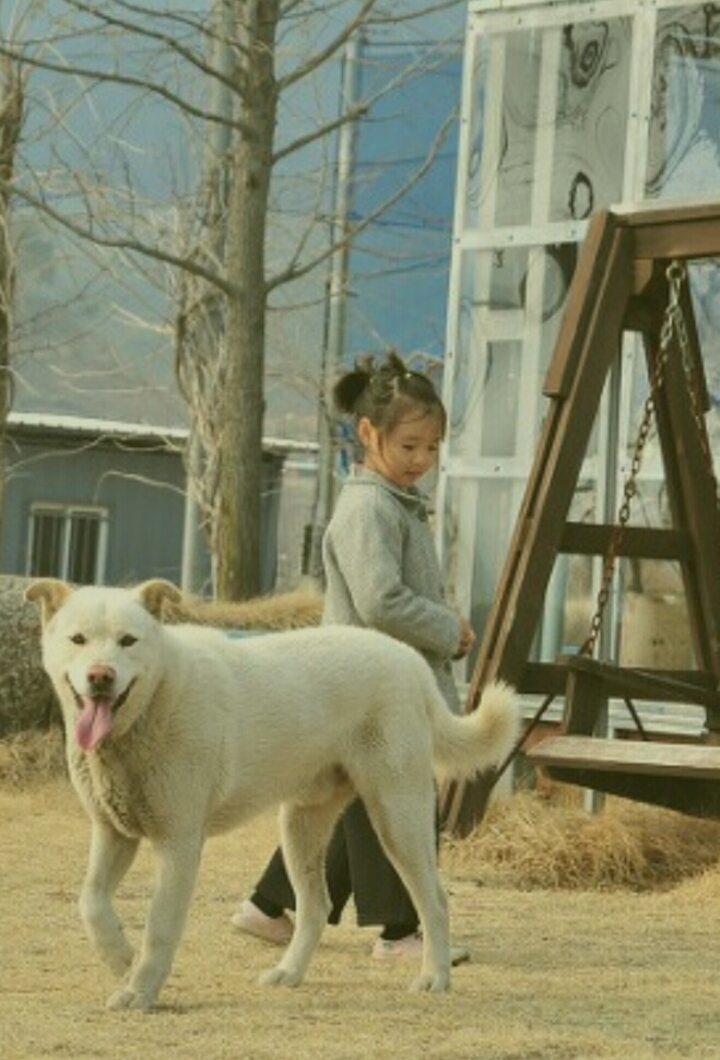 카페시율 이미지