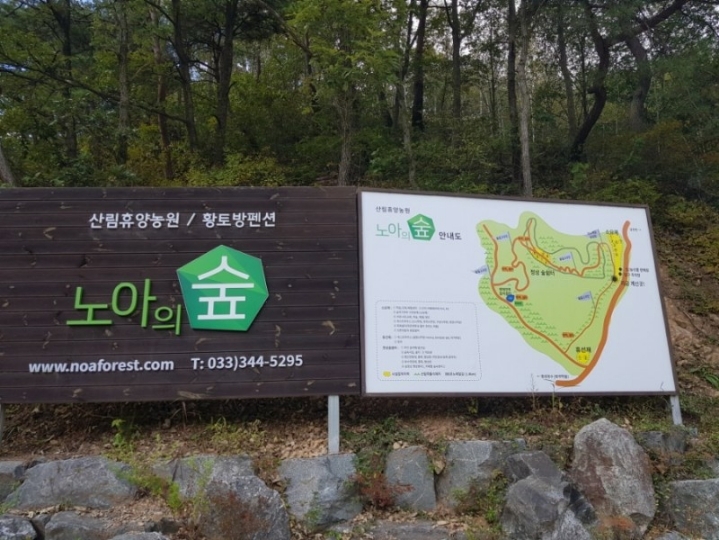 노아의숲 이미지