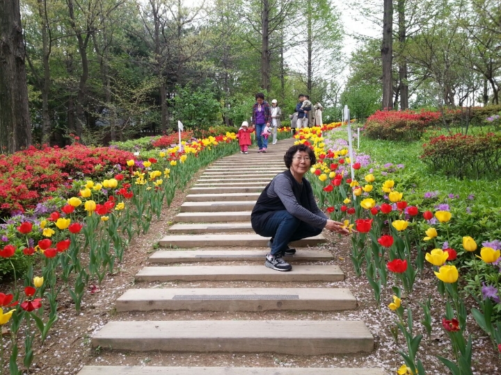 송현공원 이미지