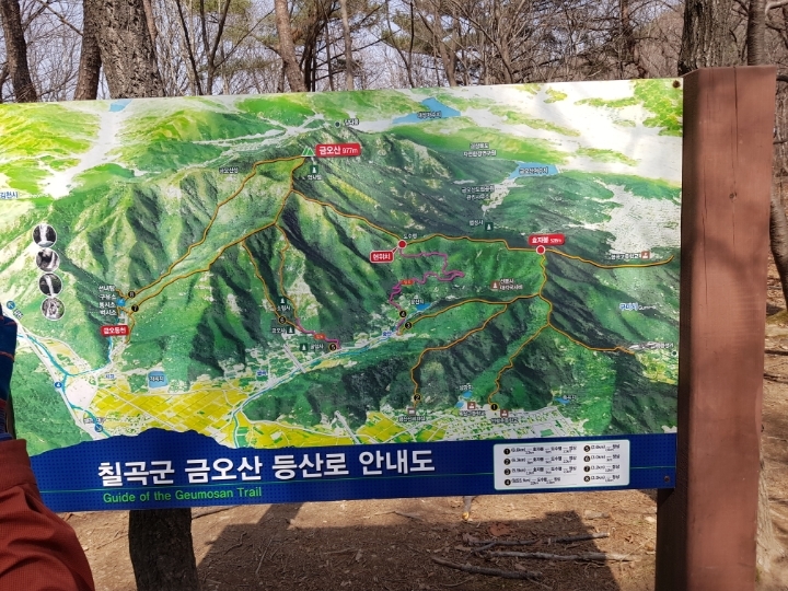 늑대와여우 이미지