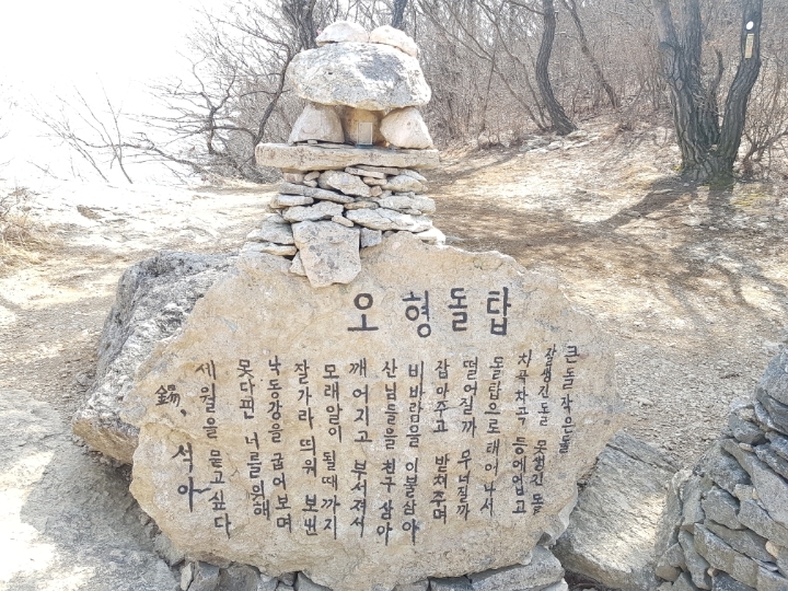 늑대와여우 이미지