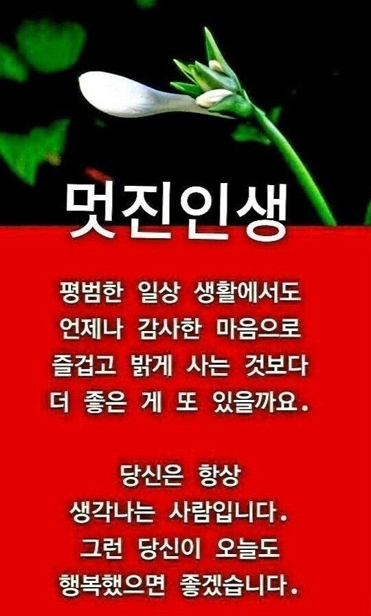 마음 이미지