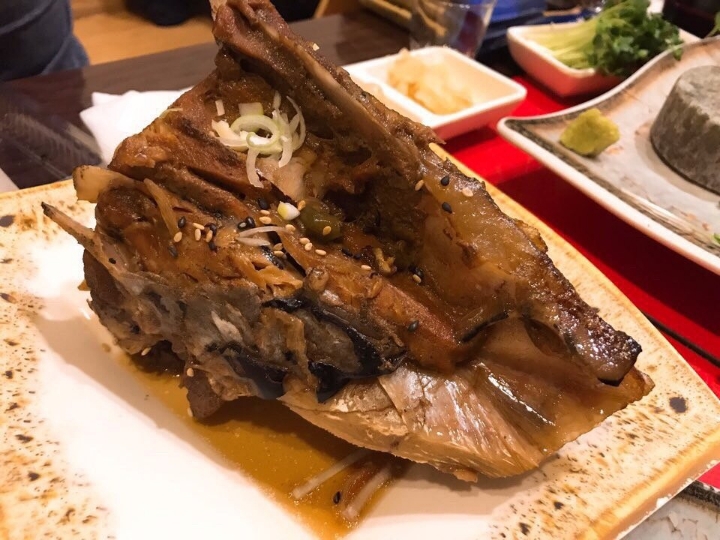 다미참치 이미지