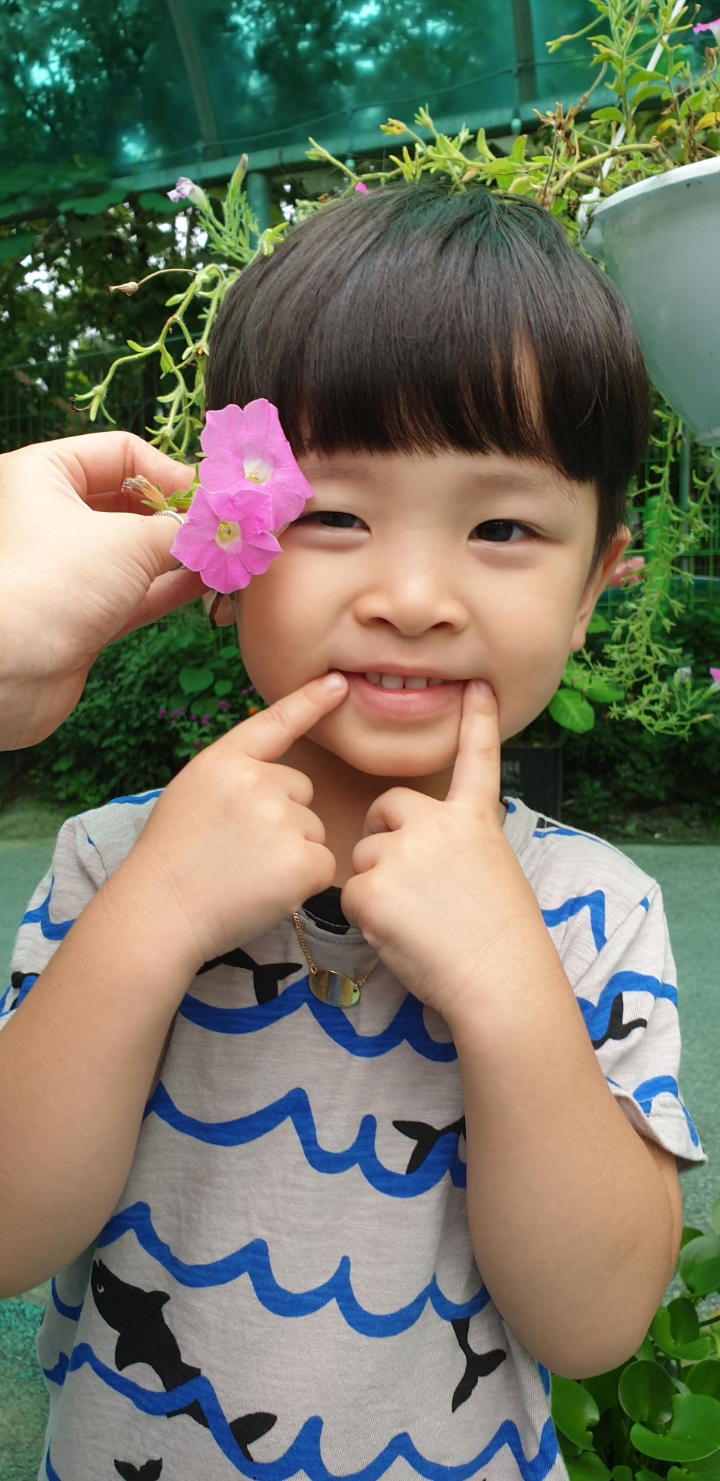 찬놀 이미지