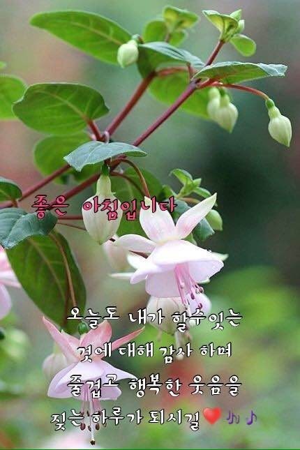 행복한하루 이미지
