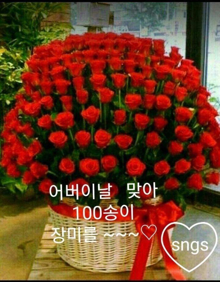 행복한하루 이미지